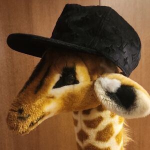 NWOT Louis Vuitton Monogram Hat